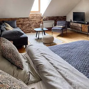 Apartmán Cozy And Warm In The Heart Of, Karlovy Vary